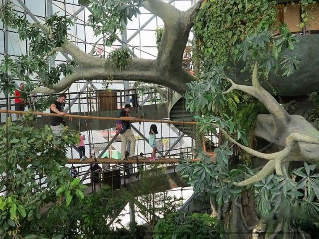 Dubai Rainforest جنگل بارانی دبی