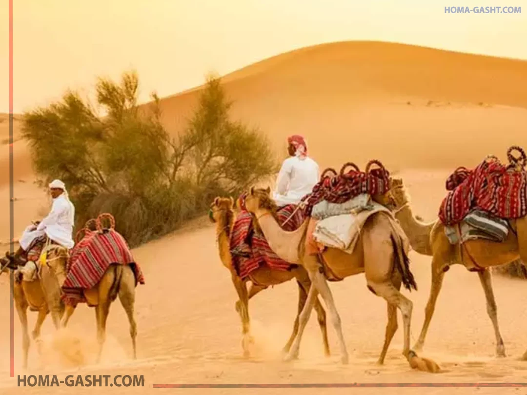 Dubai safari dos and don'ts بایدها و نبایدهای سافاری دبی