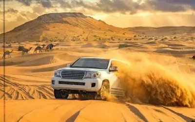 سافاری در دبی تجربه ای بی نظیر!