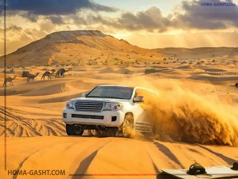 سافاری در دبی