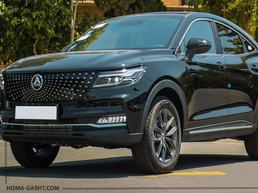 Dignity دیگنیتی پرایم