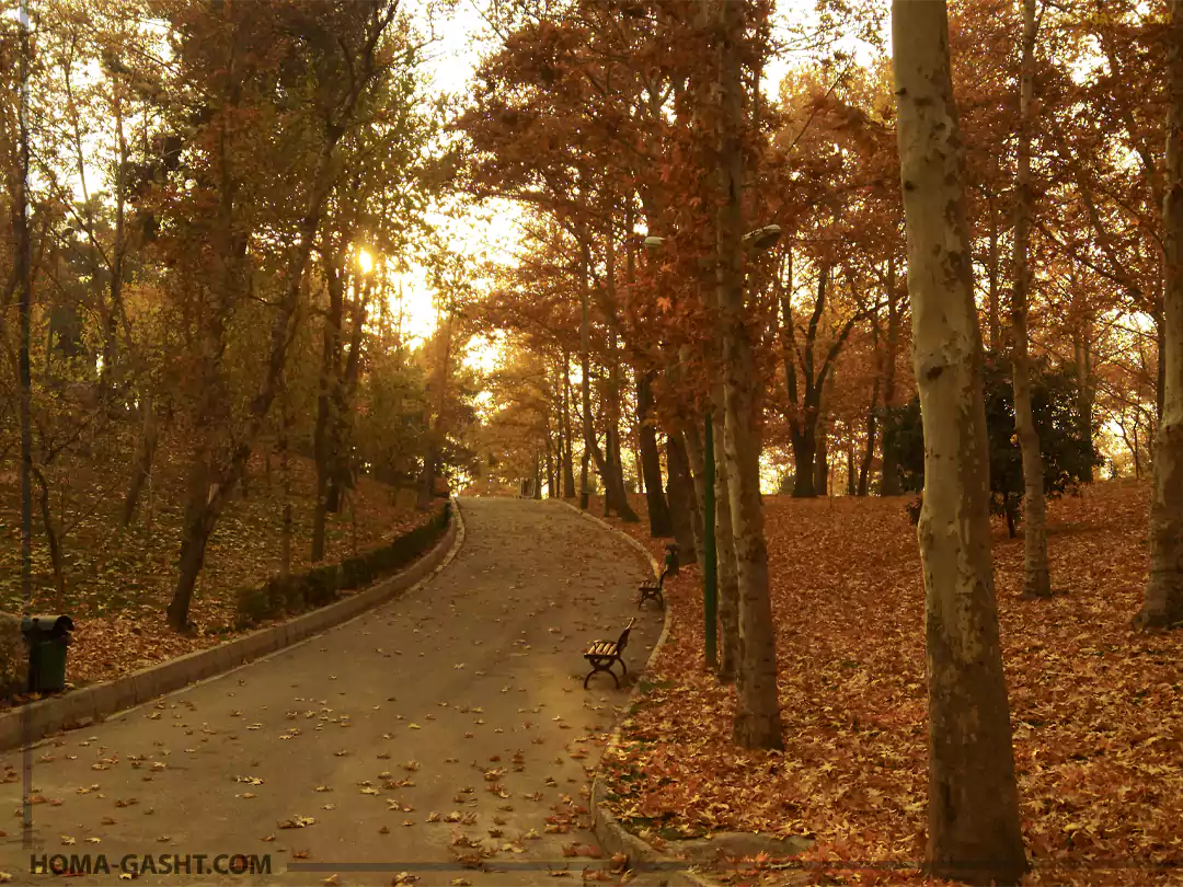 Locations_photography1 پارک شاهنشاهی