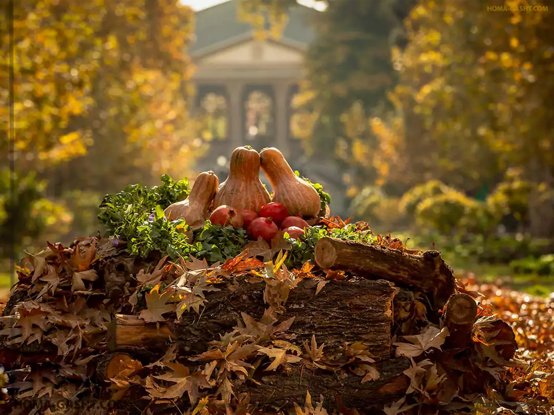 Locations_photography11 باغ فردوس تهران