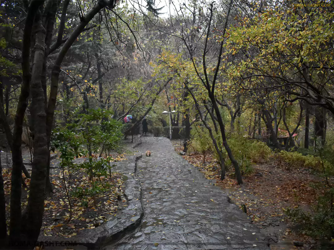 Locations_photography5 پارک جمشیدیه