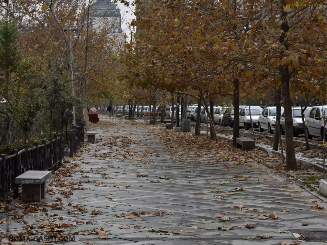 Locations_photography6 خیابان ولیعصر