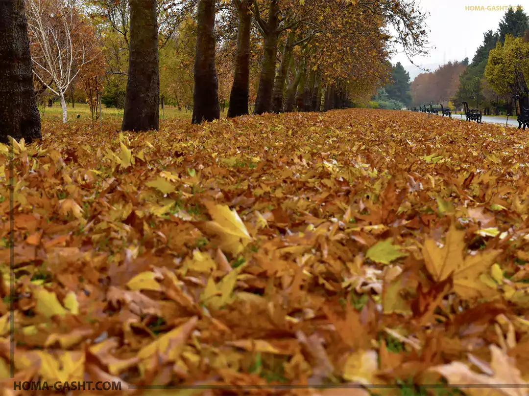 Locations_photography8 باغ گیاه شناسی تهران