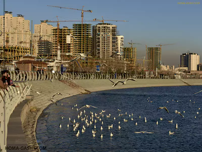 دریاچه چیتگر کجاست