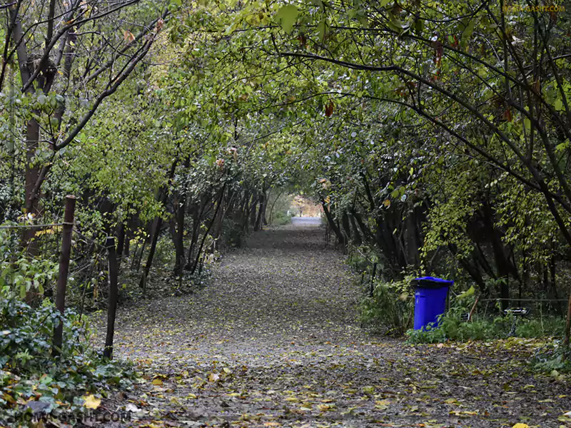 giahshenasi1 بهار در باغ گیاه شناسی