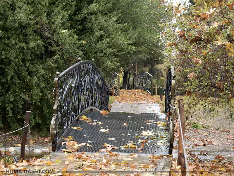 giahshenasi66 رویشگاه چین