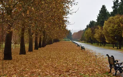 باغ گیاه شناسی تهران کجاست |معرفی بهشت عکاسان در قلب پایتخت