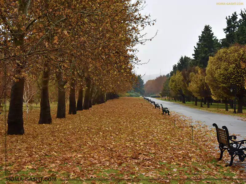 باغ گیاه شناسی تهران
