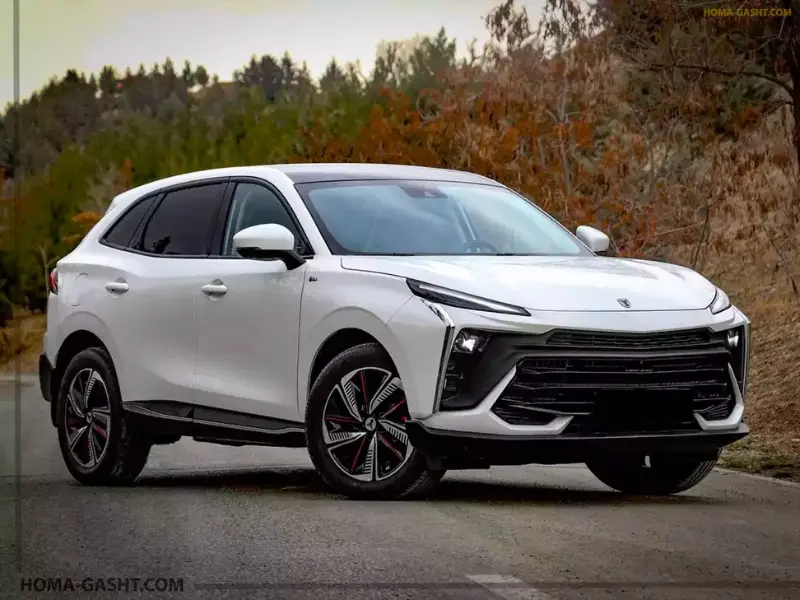 لاماری ایما هیبریدی