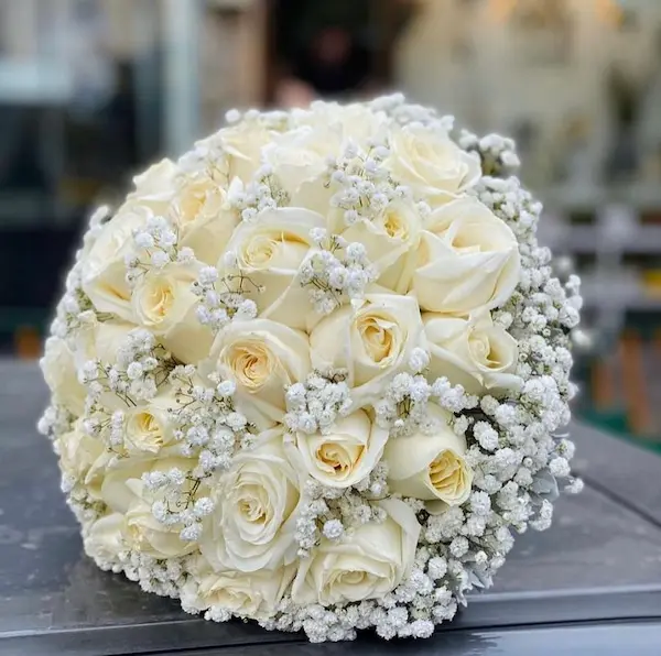 دسته گل عروس ژستوفیلا دسته گل عروس ژستوفیلا