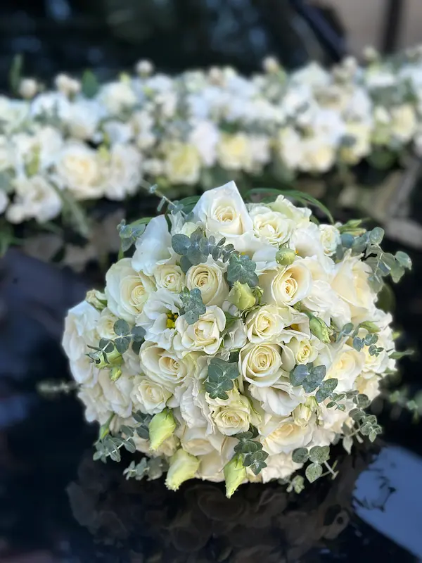 رز مینیاتوری عروس رز مینیاتوری عروس