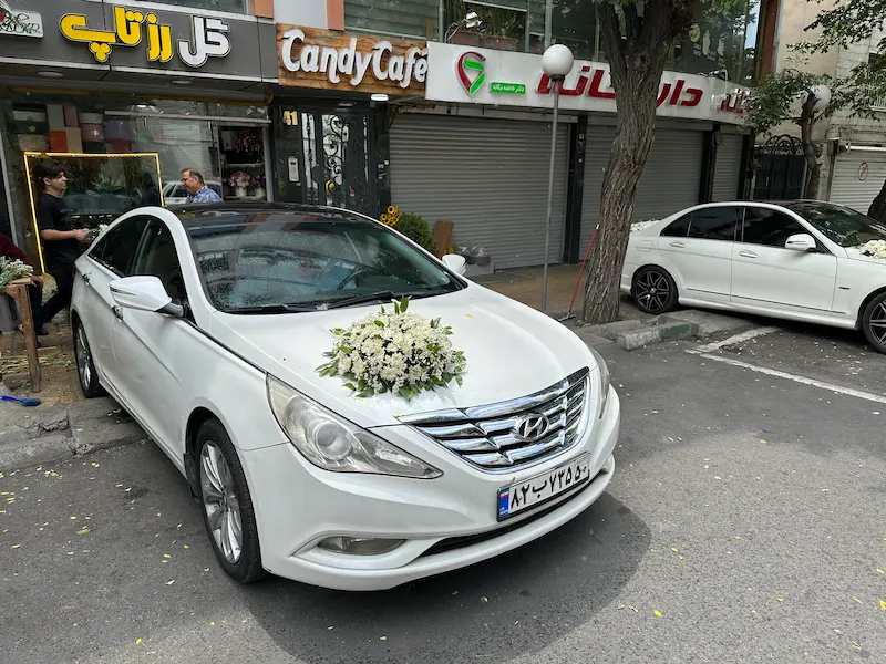 اجاره ماشین عروس سوناتا اجاره ماشین عروس سوناتا