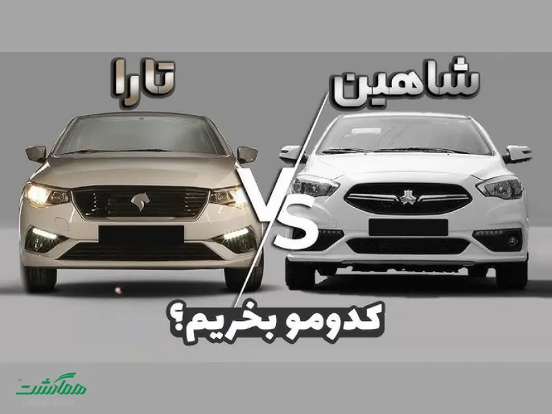 شاهین یا تارا؟
